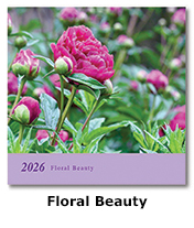 floral beauty 3-month